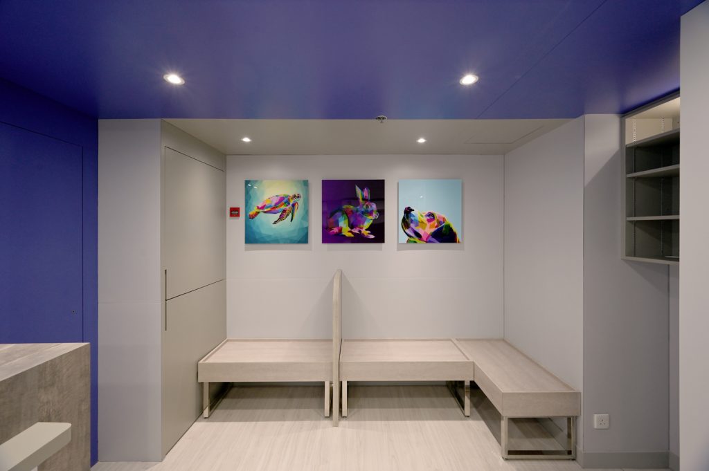 Hong Kong Veterinary Clinic, Veterinary Medical Centre Interior Design and  Renovation Project by VD iDesign & Contracting Limited | HK Island East Small  Animal & Exotic Veterinary Centre - VD iDesign