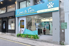 Paws & Tails 獸醫醫院-香港獸醫醫院室內設計與裝修工程項目 | 華迪設計工程有限公司