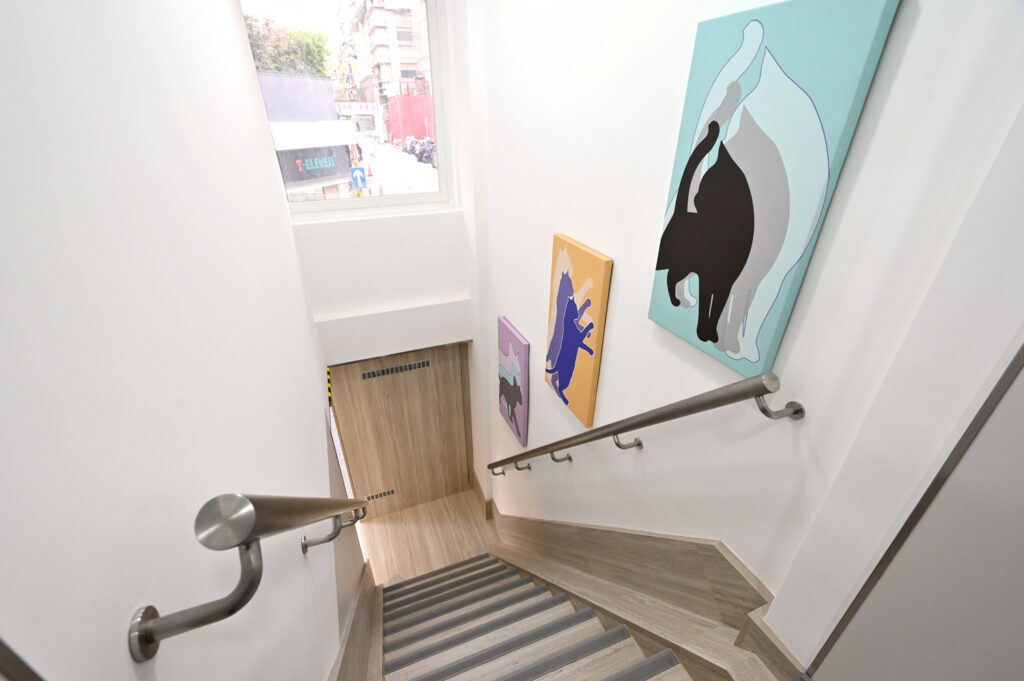 Paws & Tails Veterinary Hospital Staircase, well-known HK veterinary clinic contractor, well-known HK Vet Hospital interior designer
