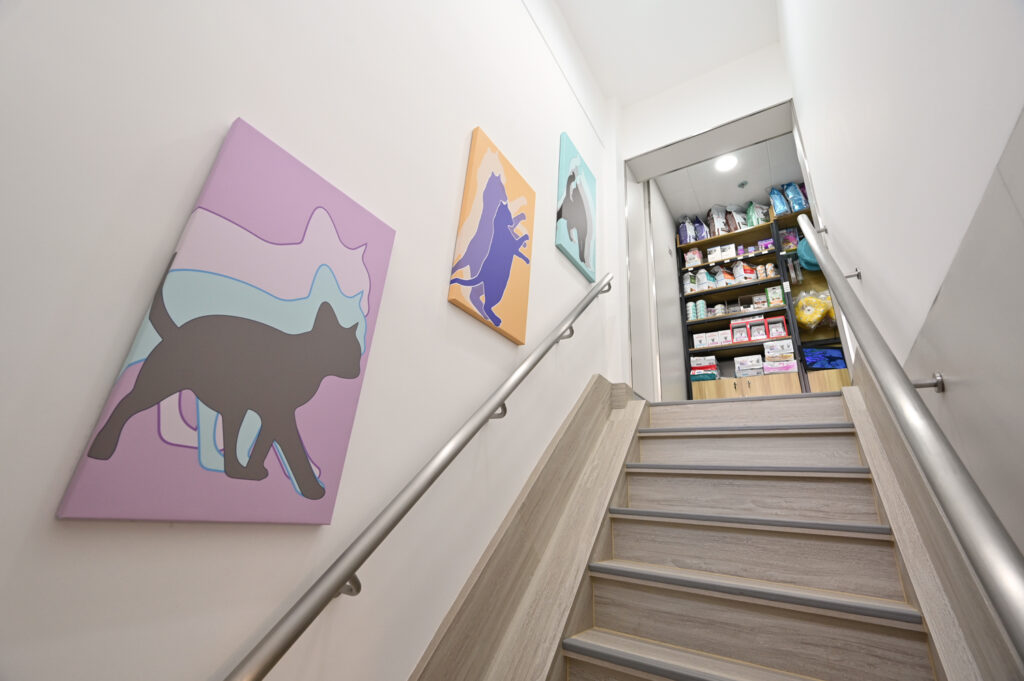 Paws & Tails Veterinary Hospital Staircase, famous HK veterinary clinic contractor, famous HK Vet Hospital interior designer