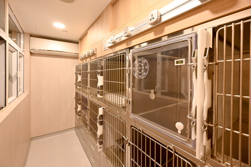 Professional Veterinay hospital designer and contractor for veterinary ward room